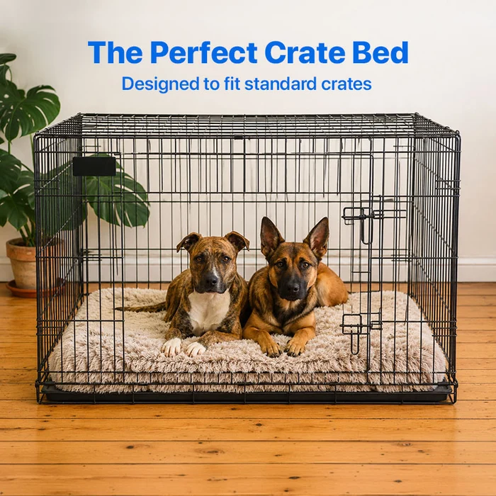 The New Era of Mattress Comfort: What Sleepers Should Know 